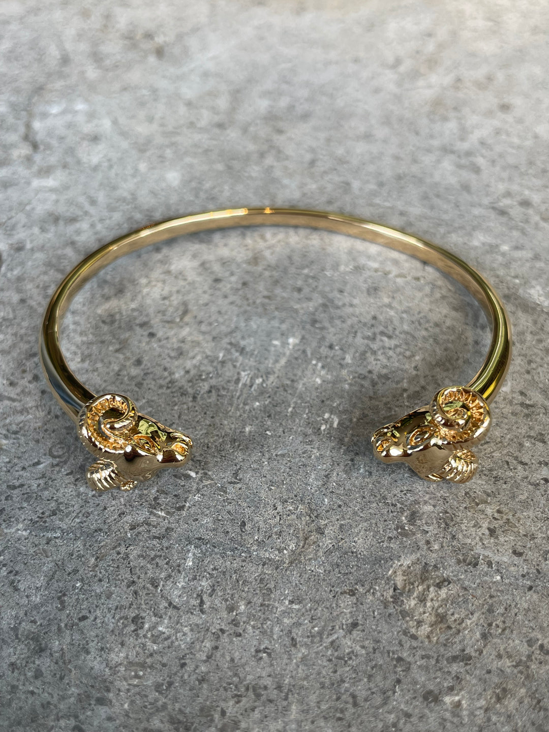Chambéry Aries Bangle