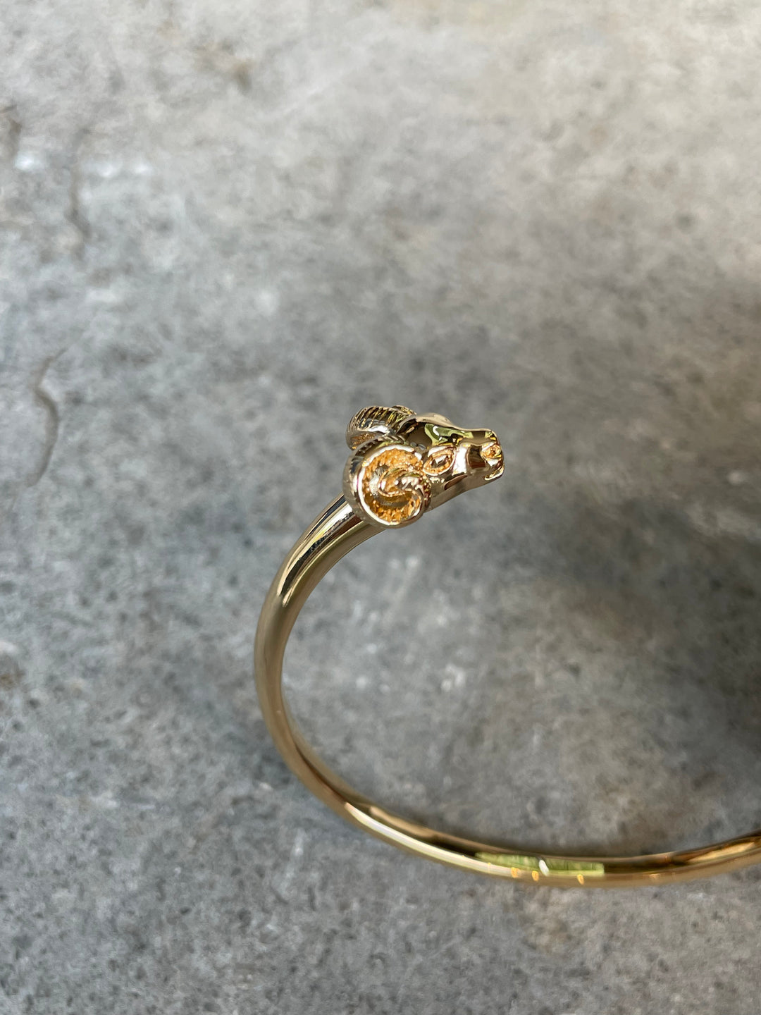 Chambéry Aries Bangle