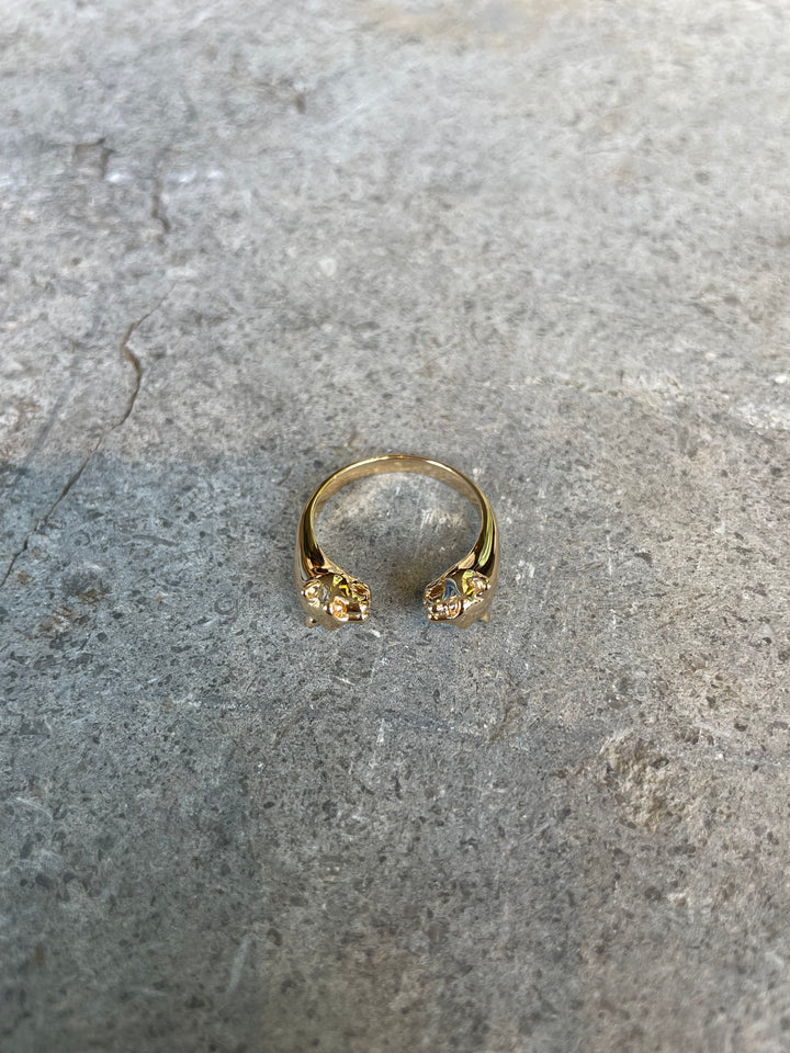 Pasha Ring