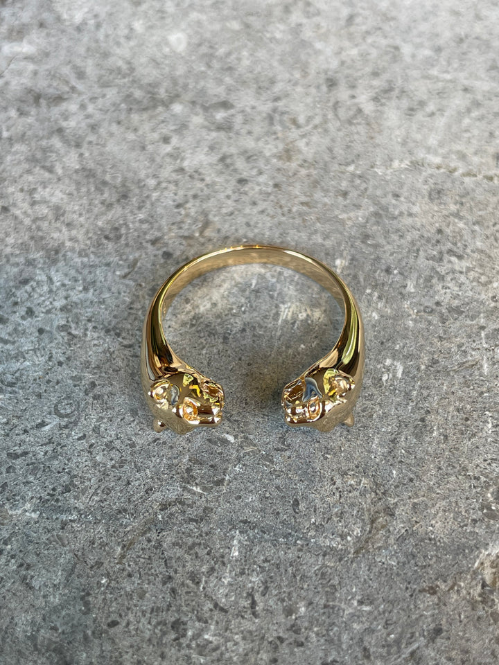 Pasha Ring