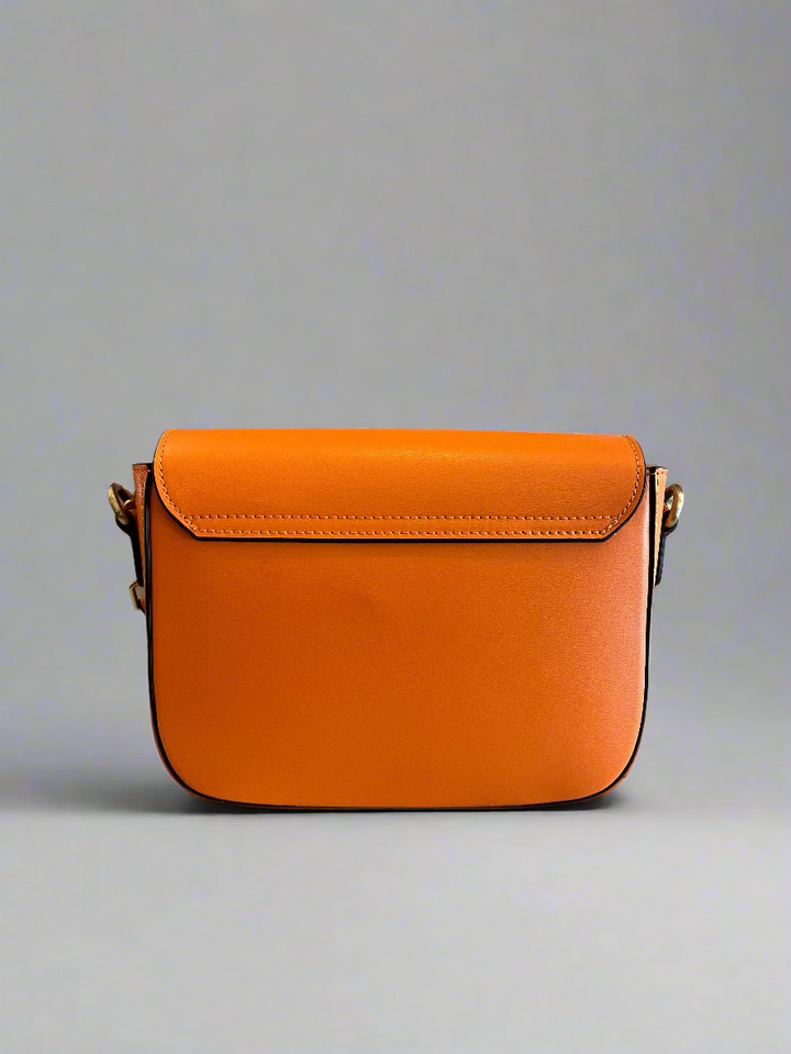 Celine Bag