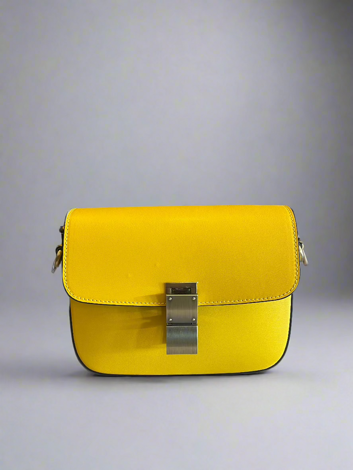Celine Bag