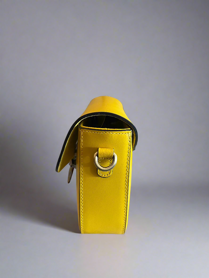 Celine Bag