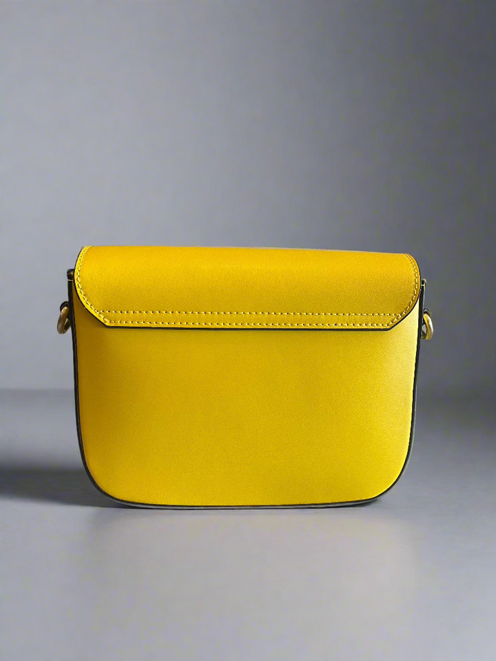 Celine Bag