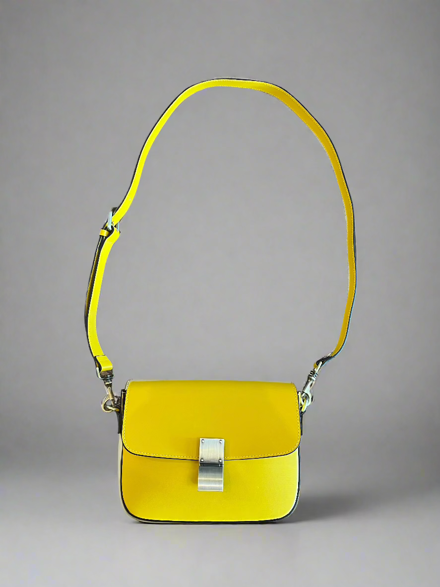 Celine Bag