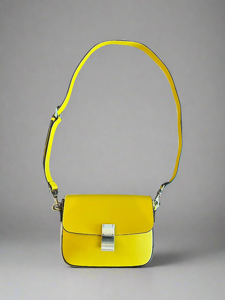 Celine Bag
