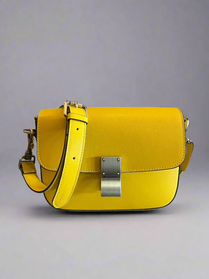 Celine Bag